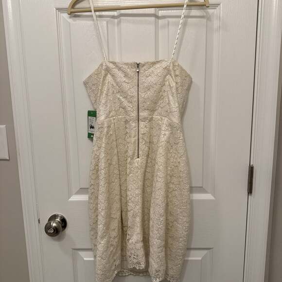 Lilly Pulitzer Marielle Strapless Lace Dress in Cameo White Race For This Lace - Picture 5 of 5